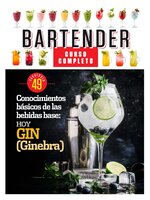 Curso de Bartender